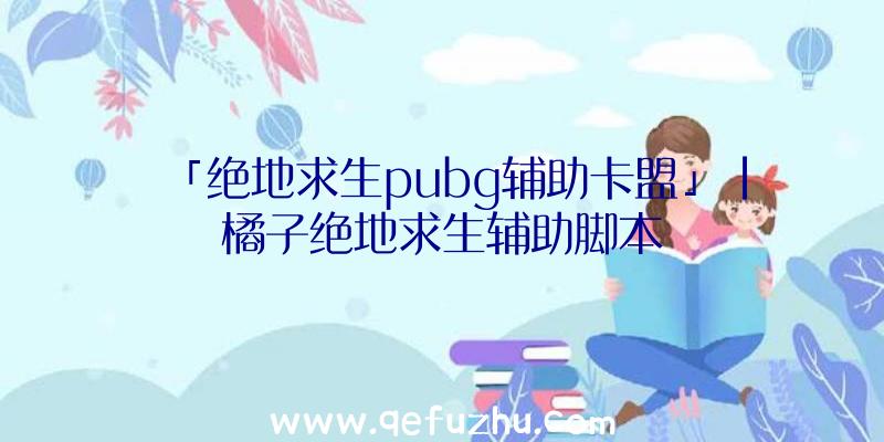 「绝地求生pubg辅助卡盟」|橘子绝地求生辅助脚本